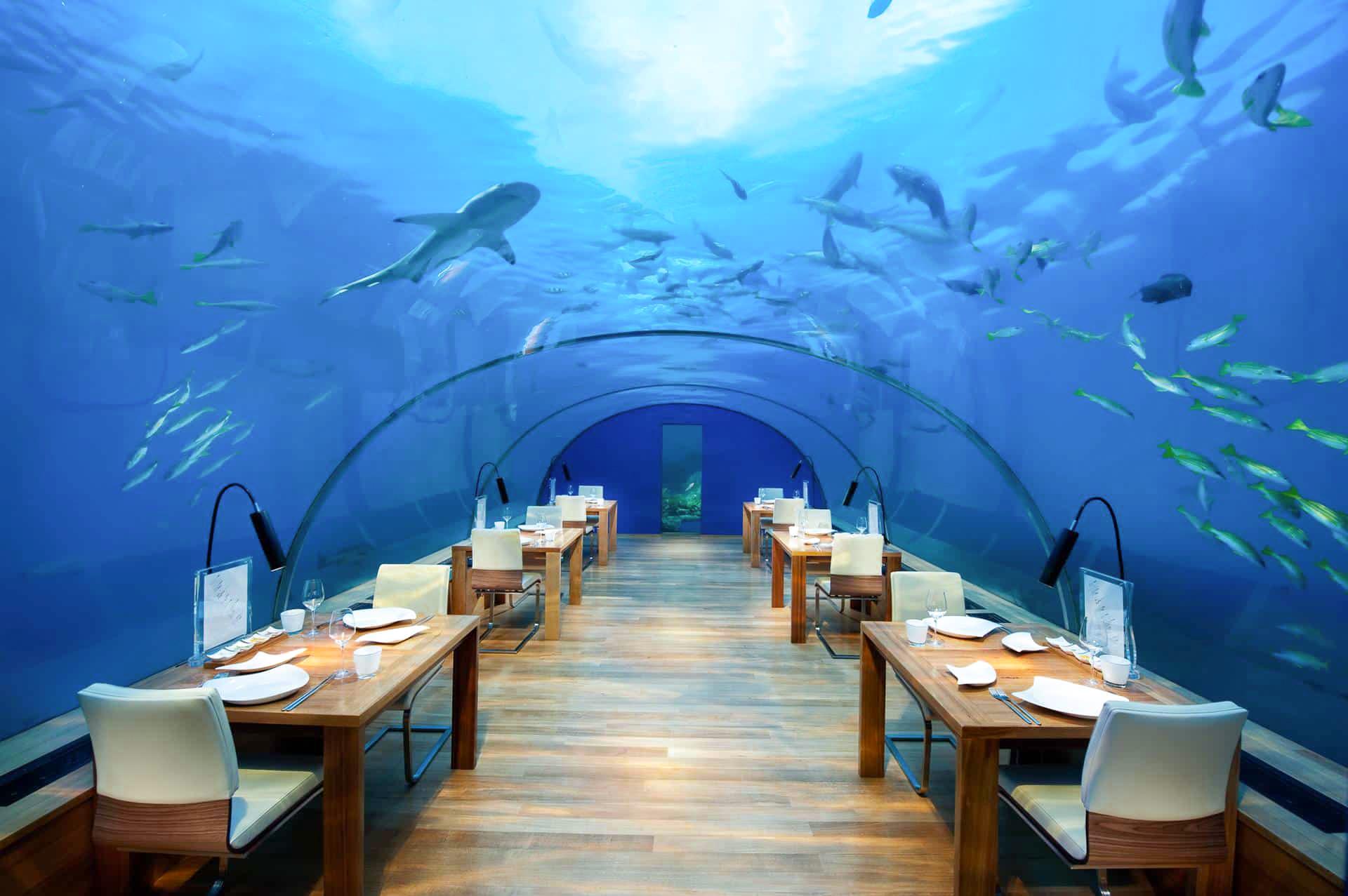 Ithaa Underwater Restaurant at Conrad Maldives Rangali Island