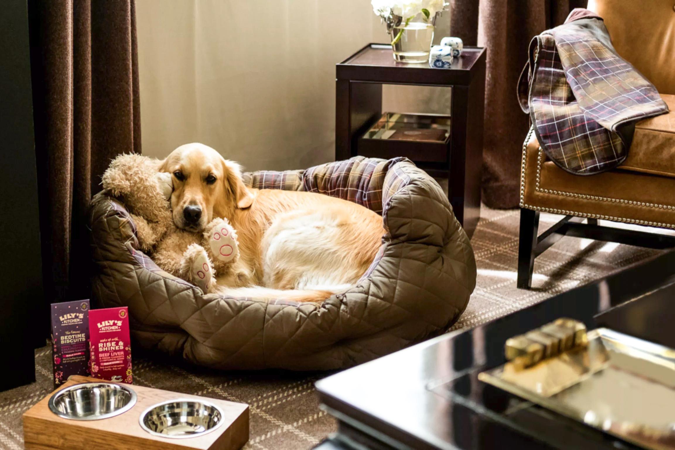 Pampered Pets at Rosewood London