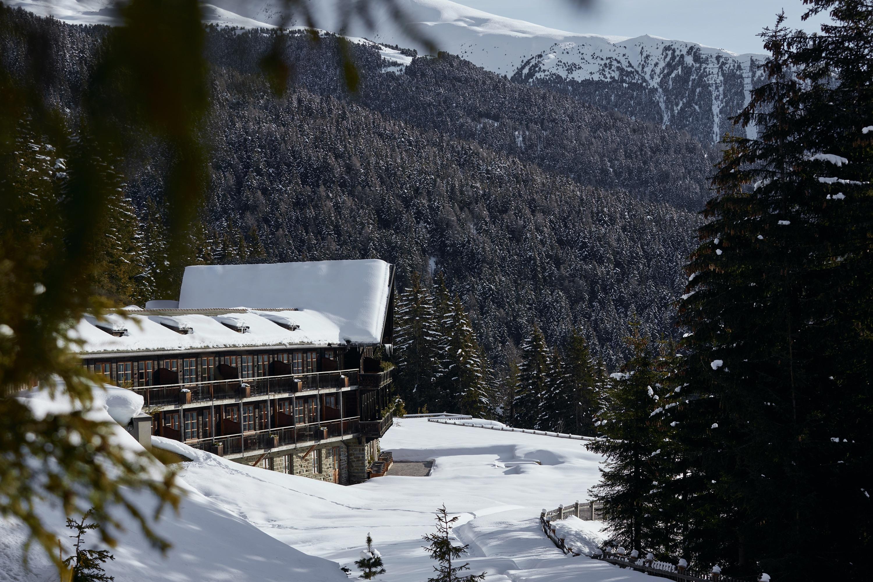 Forestis Dolomites