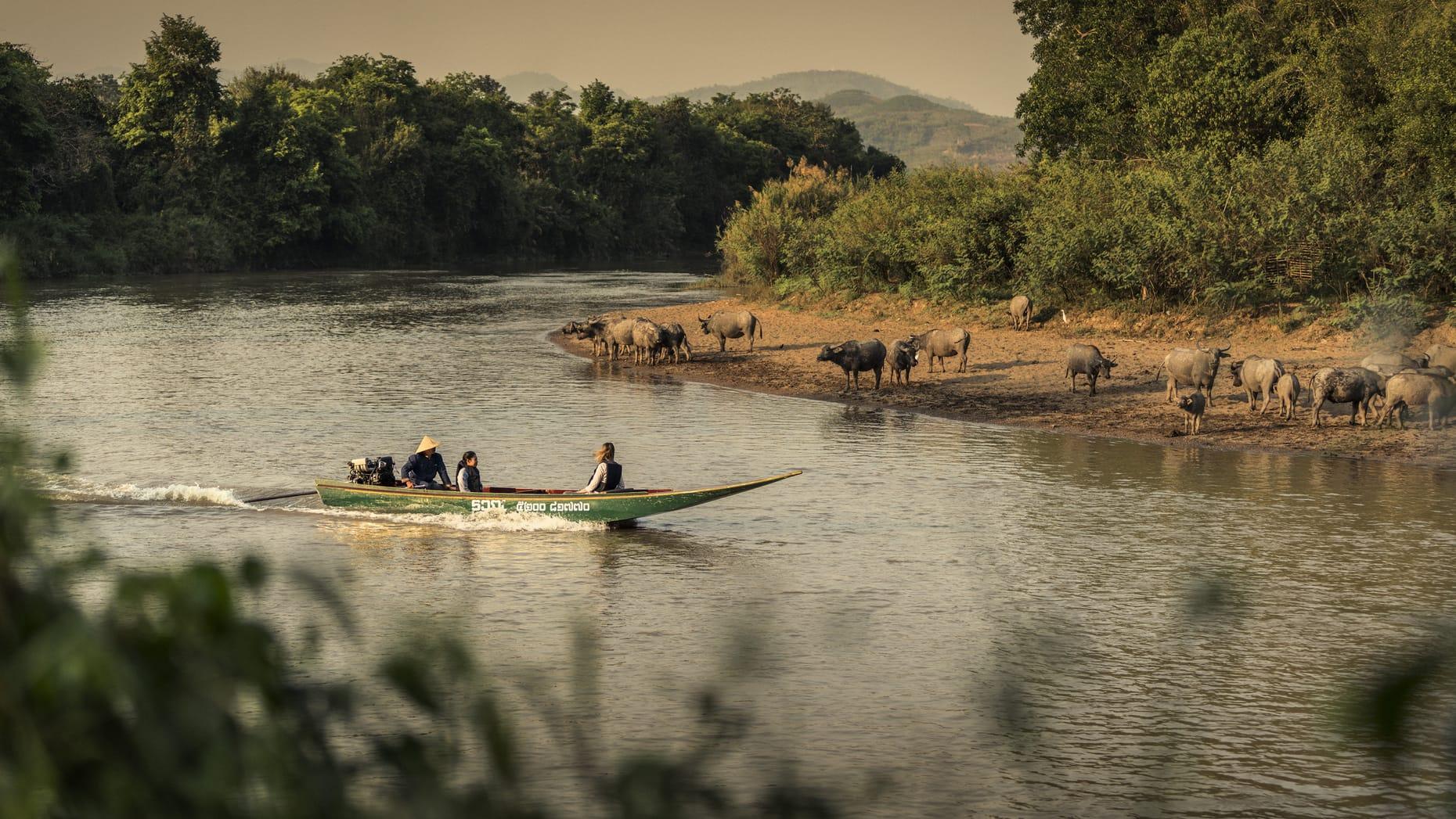 Boat Arrival Experience at Four Seasons Tented Camp Golden Triangle