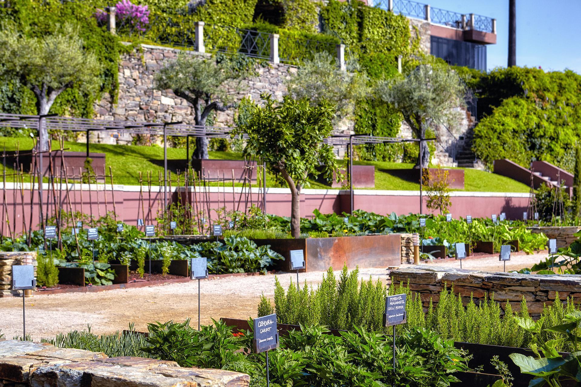 Organic Garden at Six Senses Douro Valley